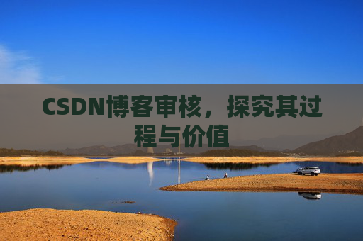 CSDN博客审核，探究其过程与价值